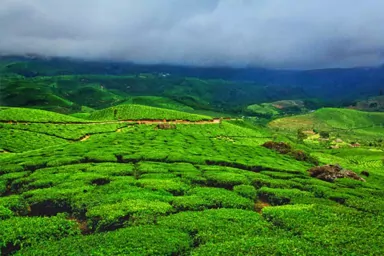 Munnar